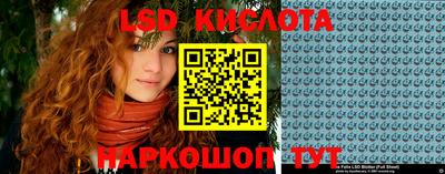 apvp Камышлов