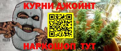 apvp Камышлов