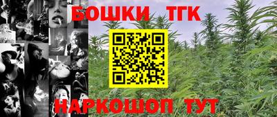 apvp Камышлов