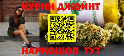 apvp Камышлов