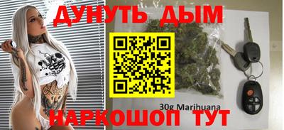 apvp Камышлов