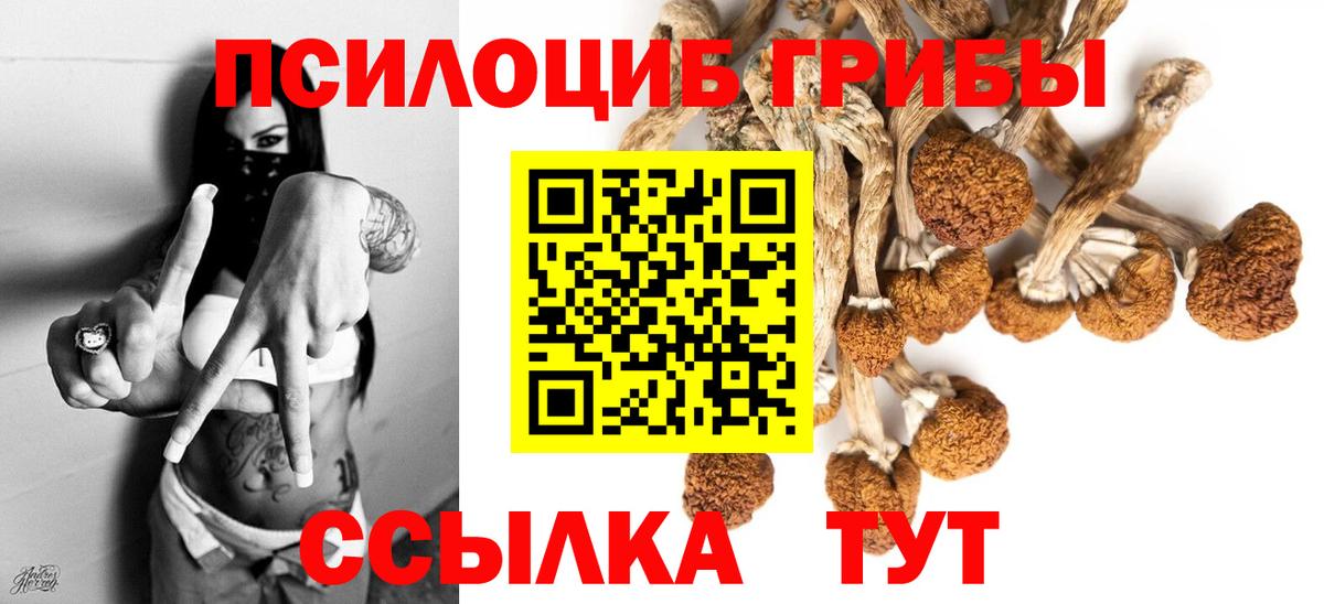 Псилоцибиновые грибы Cubensis Георгиевск