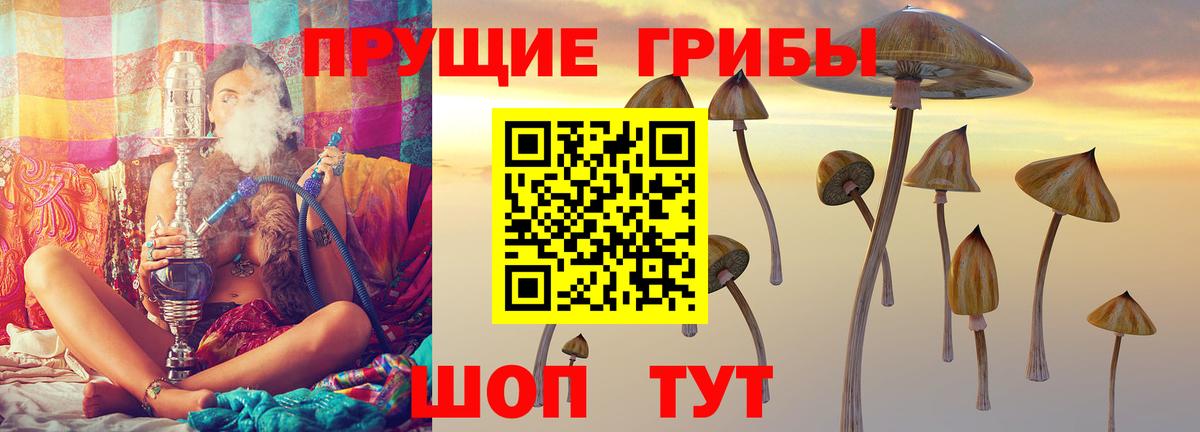 Георгиевск  Псилоцибиновые грибы прущие грибы  Вход с VPN 